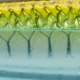 Strike King Evader 70 Topwater Baits, Chrome Herring, 7.5cm/2.75in, HCEV70-862