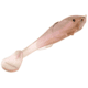 Strike King Final Copy Weedless Softbait, 1 pack, 4.75in, Crystal Shad, 12-36063