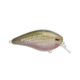 Strike King KVD Elite 1.5 Crankbaits, River Shiner, 3/8oz, HCKVD1.5E-696