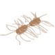 Strike King Sexy Bug Softbait, 6 pack, 2in, Clear Pumpkin, 12-36358