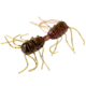 Strike King Sexy Bug Softbait, 6 pack, 3in, Grape Whiskey, 12-36369