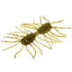 Strike King Sexy Bug Softbait, 6 pack, 3in, Green Pumpkin, 12-36361