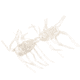 Strike King Sexy Bug Softbait, 6 pack, 3in, Pearl Flash, 12-36365