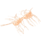 Strike King Sexy Bug Softbait, 6 pack, 3in, White Sauce, 12-36363