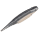 Strike King Spotlight Shim-E Minnow Softbait, 6 pack, 3in, Pro Blue Red Pearl, 12-36023