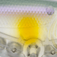 Strike King Patroller 60 Hard Bait