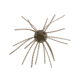 Strike King Tumbleweed Salted Softbait, 4 pack, 3in, Blue Craw, 12-36260