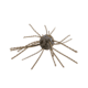 Strike King Tumbleweed Salted Softbait, 4 pack, 3in, Blue Craw, 12-36260
