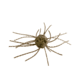 Strike King Tumbleweed Salted Softbait, 4 pack, 3in, Green Pumpkin, 12-36258