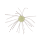 Strike King Tumbleweed Salted Softbait, 4 pack, 3in, Lemon Drop, 12-36264