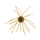 Strike King Tumbleweed Salted Softbait, 4 pack, 3in, Smallmouth Candy, 12-36257