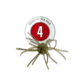 Strike King Tumbleweed Salted Softbait, 4 pack, 3in, Watermelon Red Flake, 12-36262