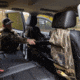 Summit Treestands Seatback Organizer
