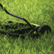Sun Joe 18 inch Quad-Wheel, 5-Position, Razor Sharp Cutting Blade, Silent Push Reel Mower, Green MJ1800M