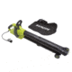 Sun Joe 3-in-1 Electric Blower - 250 MPH - 13 Amp - Vacuum Mulcher, Green SBJ702E