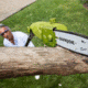 Sun Joe 8-Inch 6.5-Amp Electric Pole Chain Saw, Green SWJ802E