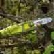 Sun Joe 8-Inch 6.5-Amp Electric Pole Chain Saw, Green SWJ802E