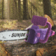 Sun Joe Electric Convertible Pole Chain Saw - 10in - 8.0A, Purple SWJ807E-PRP