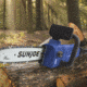 Sun Joe Electric Convertible Pole Chain Saw - 10in - 8.0A, Blue SWJ807E-SJB
