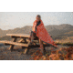 Survive Outdoors Longer Escape Insulated Blanket, Orange, 0140-2001