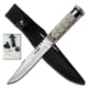 Survivor Fixed Blade Knives w/Compass and Survival Kit, 4.75 in, 3Cr13 Stainless Steel, Bowie, Silver, HK-690S