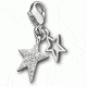 Swarovski Flicker Charm