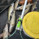 Tactacam FISH-I Waterproof Fishing Camera with Replaceable Lens System, Green, TA-5-FP