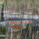 Tactacam FISH-I Waterproof Fishing Camera with Replaceable Lens System, Green, TA-5-FP