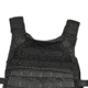 Tactical Assault Gear Vanguard Plate Carrier Set w/ Skeletal Cummerbund, Black, Medium 831327