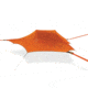 Tentsile Connect Tree Tent 4 Season 2 Person-Orange