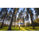 Tentsile Flite+ - 2 Person, 4 Season-Camo
