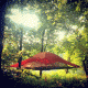 Tentsile Vista Tree Tent 3 Season 3 Person-Orange