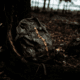 Tenzing 1200 Day Pack, Mossy Oak Bottomlands, TZG-TNZW-1200