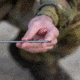 Teslong NTG200H Focus and Fold Rifle Borescope w/USB Connection, Silver, NTG200H