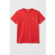 Testing Only Cezary T-Shirt, Red, 4XL, CZ-Shirt-4XL-RD