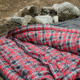 TETON Sports Celsius XXL 0 F Sleeping Bag, Left Zipper, Grey/Red, 2XL, 102L