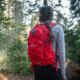 TETON Sports Oasis 18L Hydration Pack with 2L Bladder, Stark Red, 2101SCSR