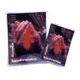 Texsport Handwarmer, Mini Disposable 27910TEX