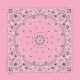 Carolina Manufacturing Paisley Light Pink, Paisley Light Pink, BAN-00220
