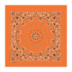 Carolina Manufacturing Paisley Orange, Orange, BAN-B22PAI-000009