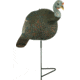 The Grind Outdoors Relaxed Feeding Hen Decoy, includes 2-piece motion stake, TG8642