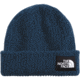 The North Face The North Face Kids Salty Dog Lined Beanie, NF0A7WG8-HDC