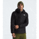 The North Face The North Face Mens Terra Peak Hoodie, NF0A88TV-JK3-L