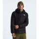 The North Face The North Face Mens Terra Peak Hoodie, NF0A88TV-BO9-S