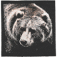 The Printed Image Bear Bandana 642