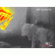 Thermal Eye 3500 thermal image
