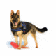 Thin Blue Line Dog Harness, , Thin Blue Line - DOG-HARN-TBL-LARGE-KIT