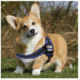Thin Blue Line Dog Harness, , Thin Blue Line - DOG-HARN-TBL-LARGE-KIT