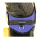 Thin Blue Line Dog Harness, , Thin Blue Line - DOG-HARN-TBL-LARGE-KIT