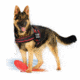 Thin Blue Line Dog Harness, , Thin Red Line - DOG-HARN-TRL-LARGE-KIT